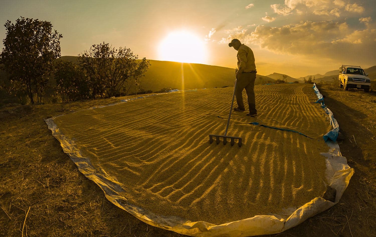 Harvesting season in the Kurdistan Region's Duhok province. Photo: Bilind T. Abdullah/ Rudaw