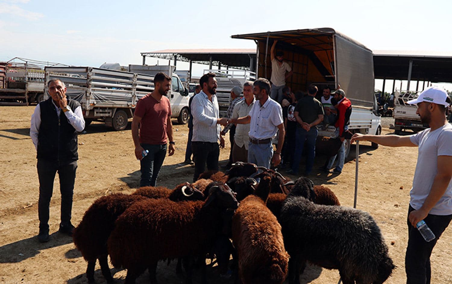 Bazara Ajelan a Îdirê hat girtin / Wêne: AA-Arşîv