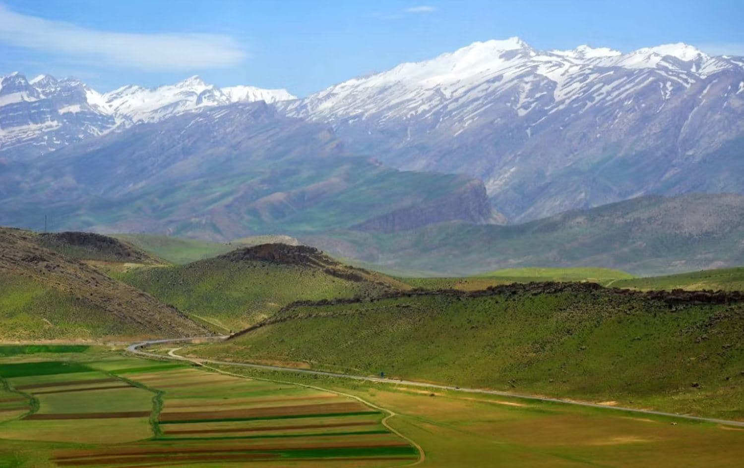 چیای زاگرۆس