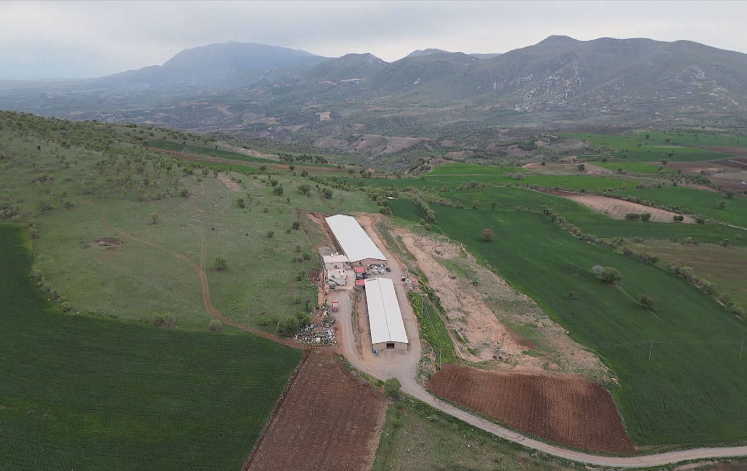 A poultry farm in Duhok province. Photo: Screengrab/Rudaw