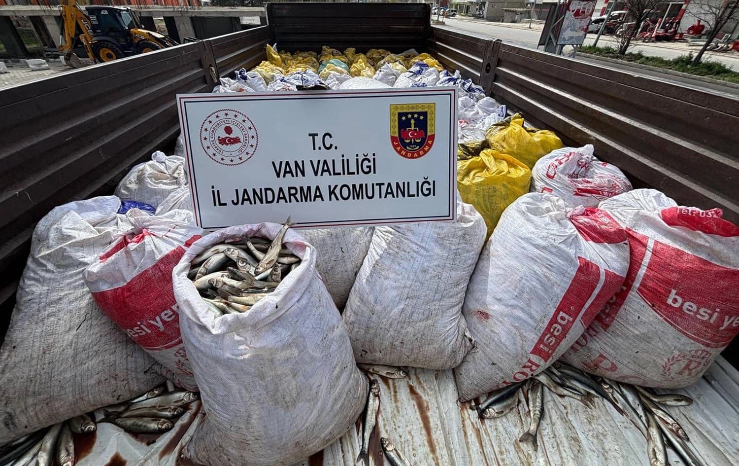 Masiyên ku hatine bidestxistin /Wêne: AA