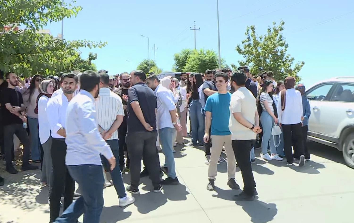گردبوونەوەی ئەمڕۆی زیشکانی خولاو و دانەمەزراو. وێنە: رووداو