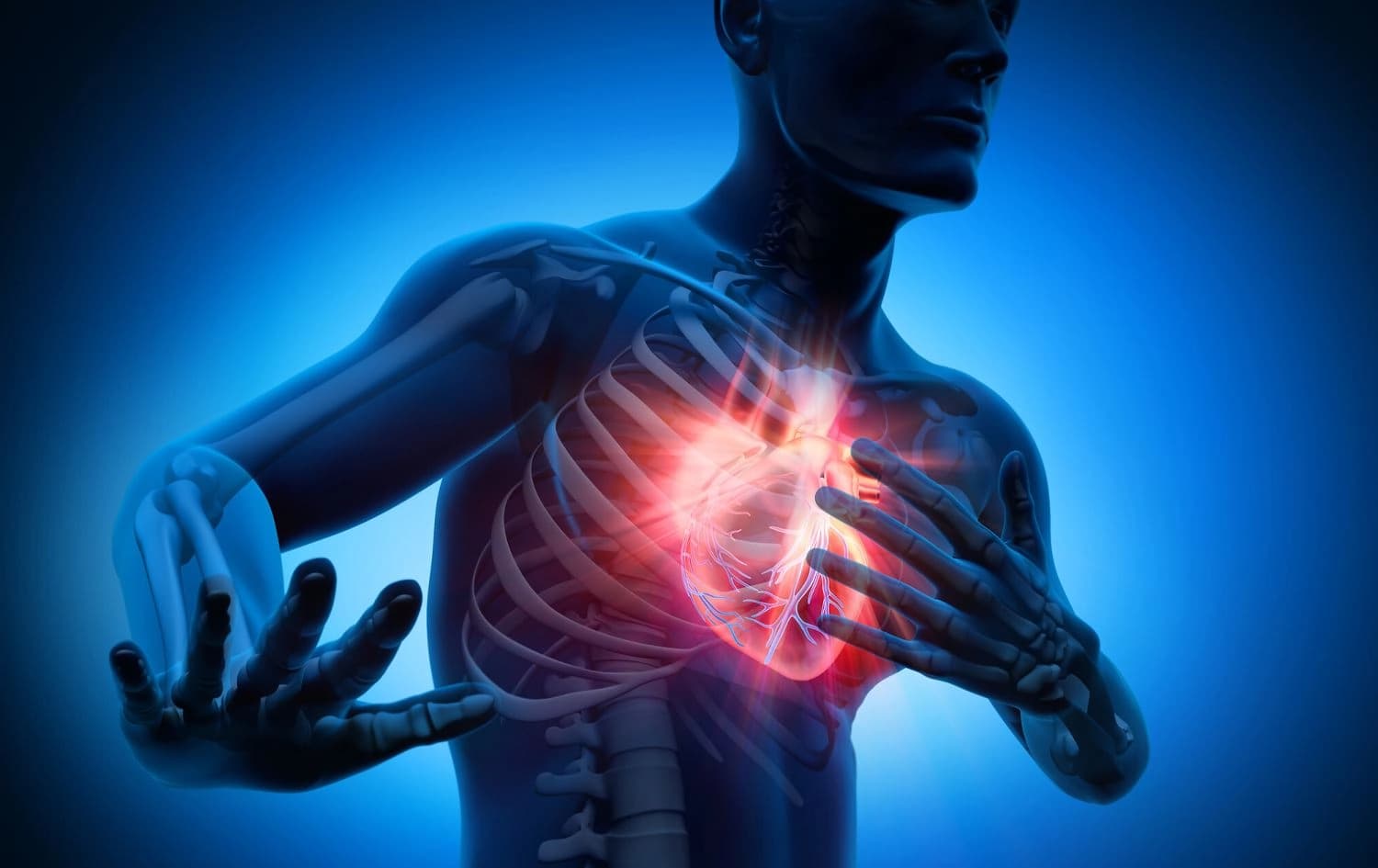 ئاماژەدان بە جەڵتەی دڵ کە هۆکارێکی مردنی لەناکاوە. وێنە: Myoclinic
