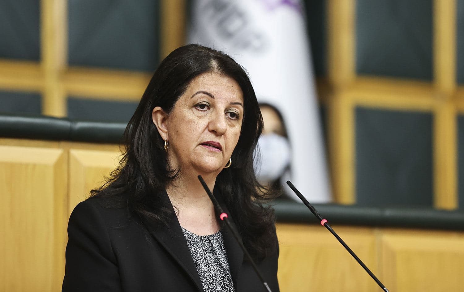 Pervin Buldan - Arşiv