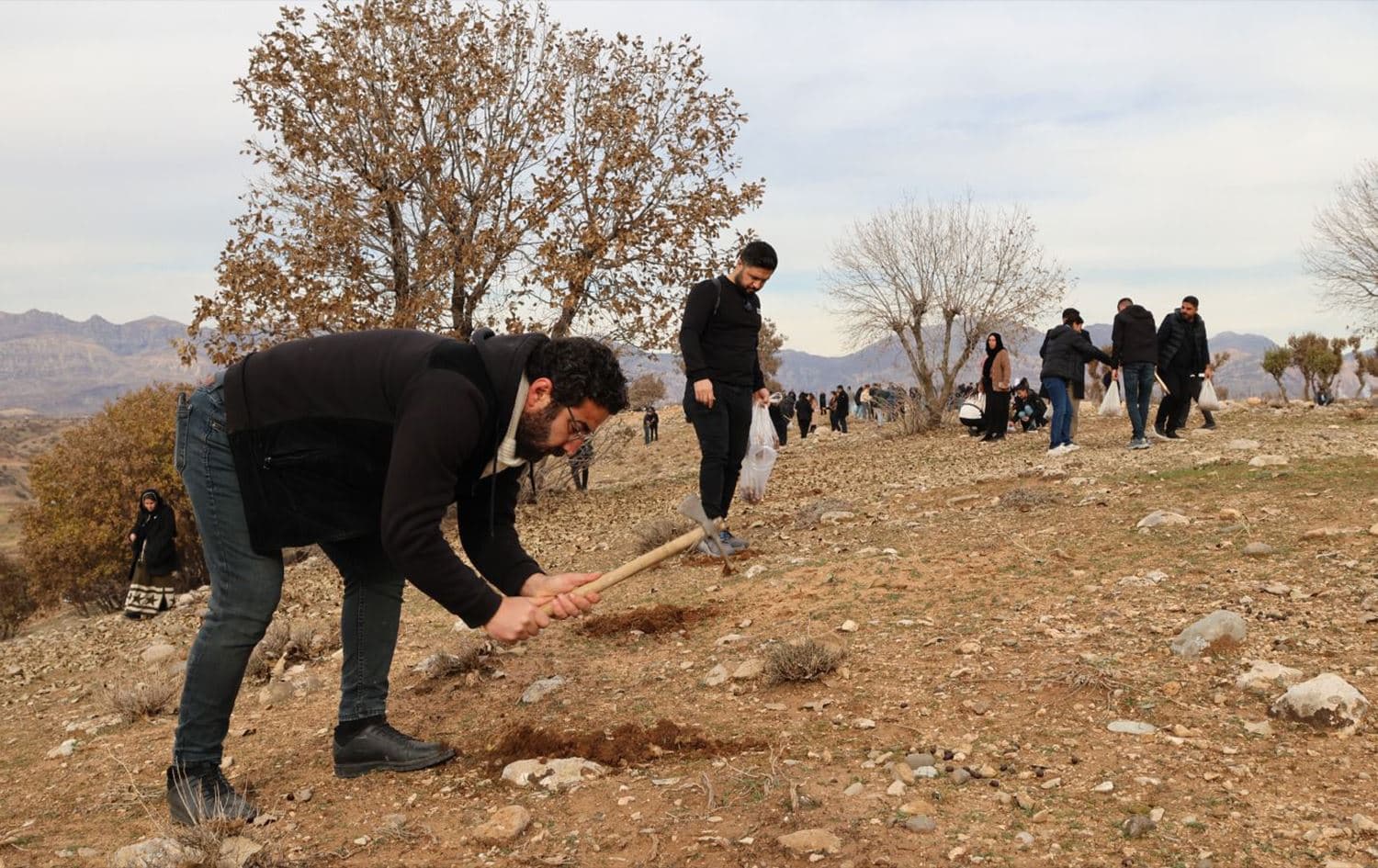Çandina berûyên daran / Wêne: Taybet ji Rûdawê re hatine şandin