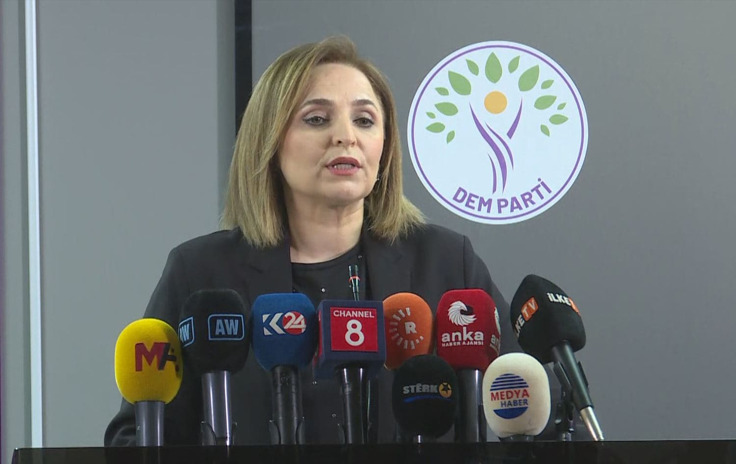 Berdevka DEM Partiyê Ayşegul Dogan / Wêne: Rûdaw