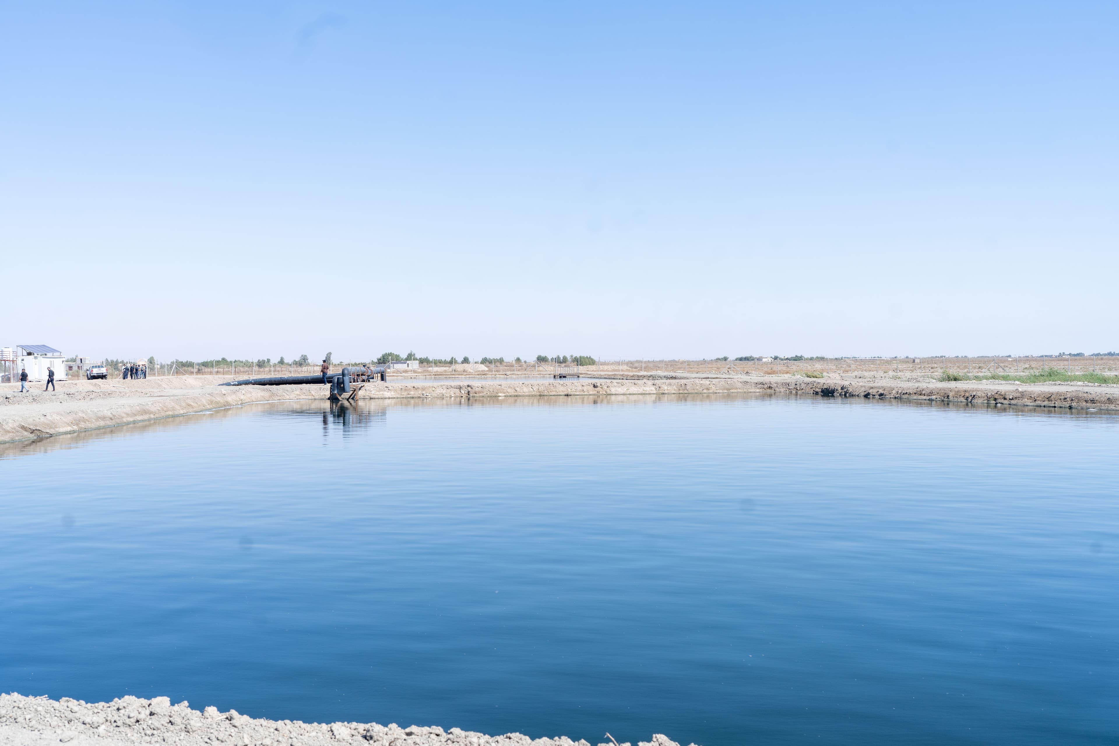 A view of the constructed wetland in Islah, Dhi Qar, southern Iraq. Photo: IOM Iraq