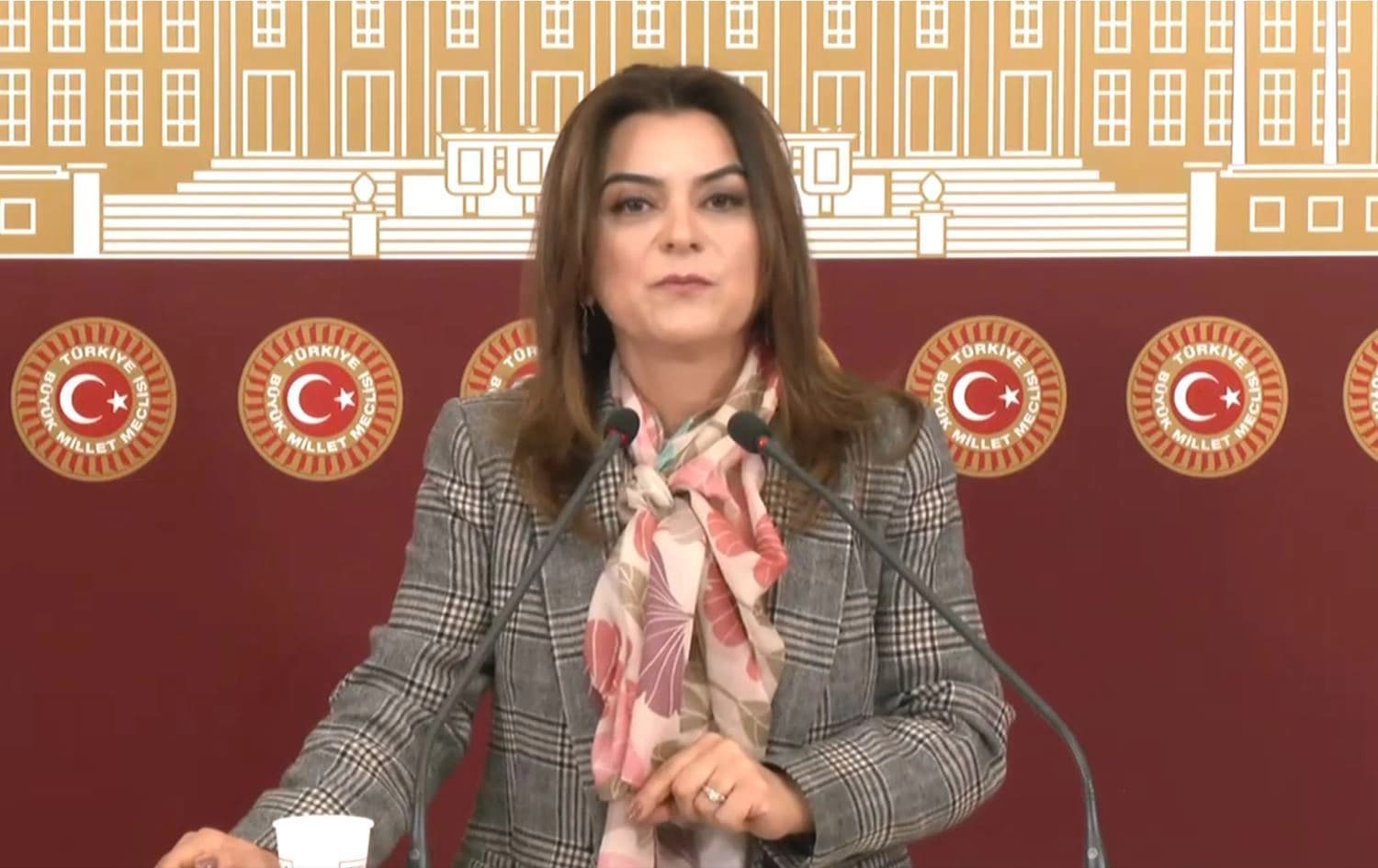 گوڵستان کڵچ، بریکاری سەرۆکی فراکسیۆنی دەم پارتی لە پەرلەمانی تورکیا