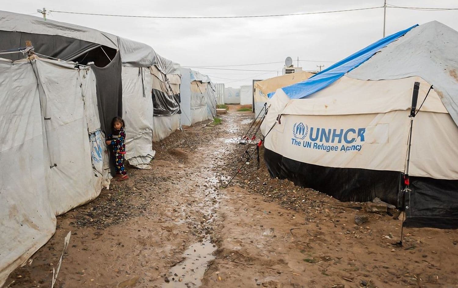 A girl peeks out from near a tent at Hassan Sham camp on November 26, 2020. Photo: Bilind T. Abdullah/Rudaw