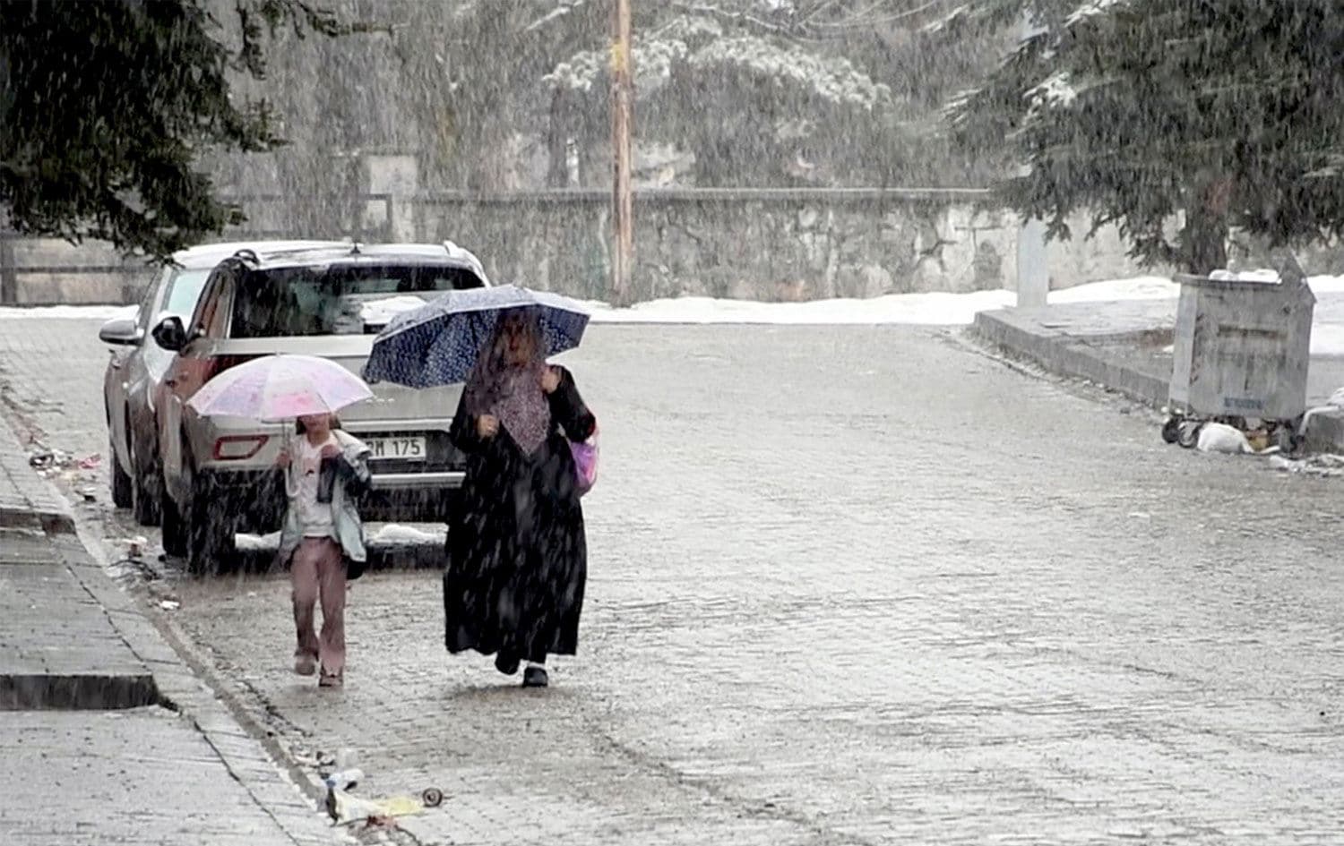 Kars'ta Nisan sonu kar yağışı / AA