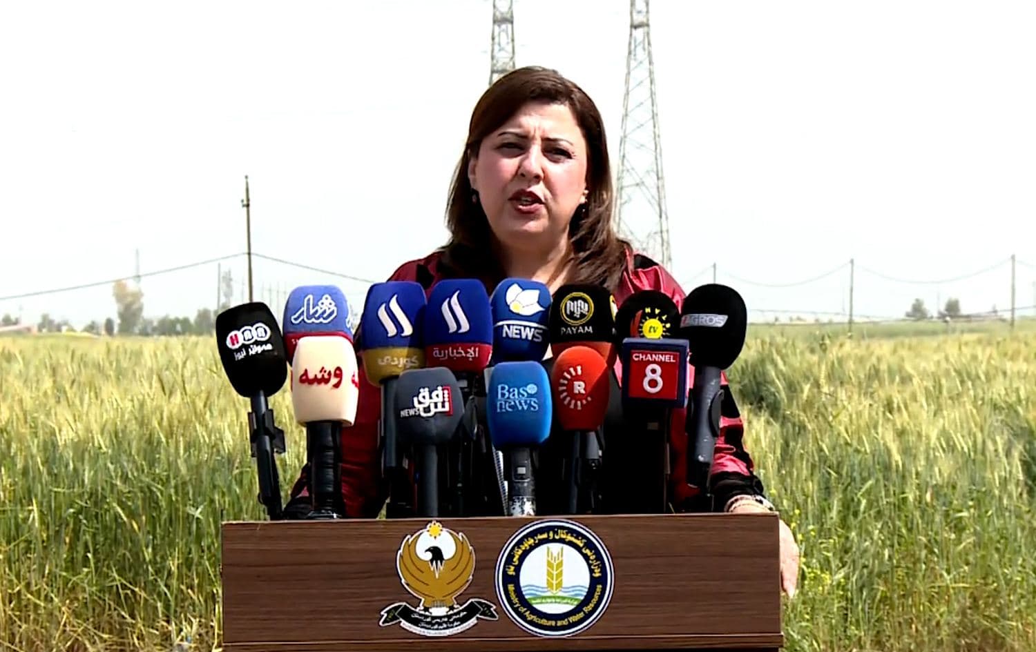 Begard Talabani, the Kurdistan Region's agriculture minister, delivers a press conference in Erbil on May 5, 2026. Photo: Screengrab/Rudaw