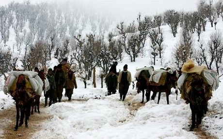 Vê carê sermayê canê wan stand ne pasdar û leşkeran!