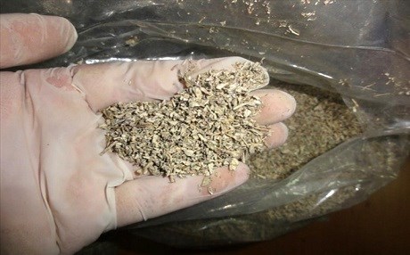 Bonzai Van’da 200 aileyi vurdu!