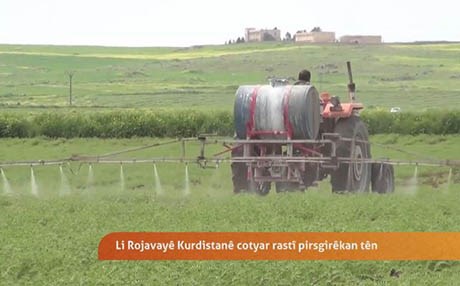 Rojava- Cotyar rastî pirsgirêkan tên