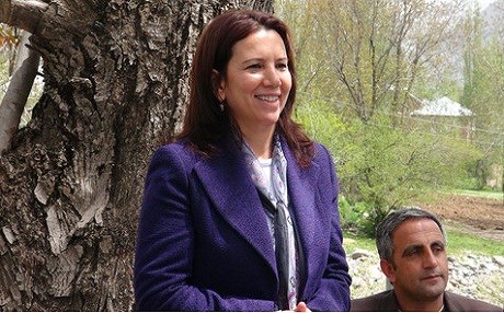 HDP’li Irmak: Ala ve Akdoğan özel görevli