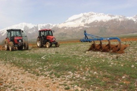 Şaredariya Pilûrê zeviyên xezînê bo xelkê cot dike