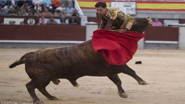 Spanya: Îcar ga qezenc kir