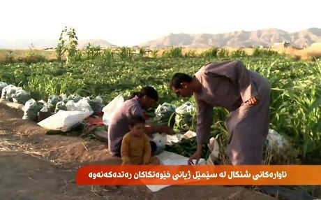 Koçberên Şingalê bazar dewlemend kirin