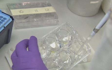 تەندروستیی جیهانیی هۆشداری دەدات