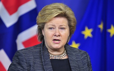 SURUÇ/OSLO - Başbakan’ın ağladığı an…