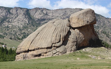 VİDEO/FOTO – Kaya kaplumbağa görenleri şaşırtıyor