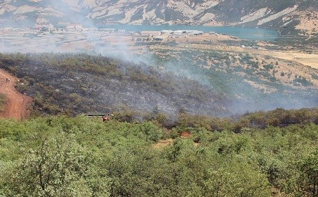 Dêrsîm- Dîsan şewata daristanan (Wêne)