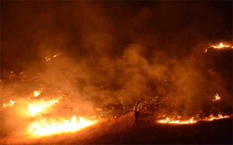 Bagok Dağı'nda yangın!