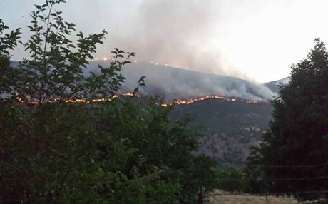 BİNGÖL – Köyler yangın tehdidi altında