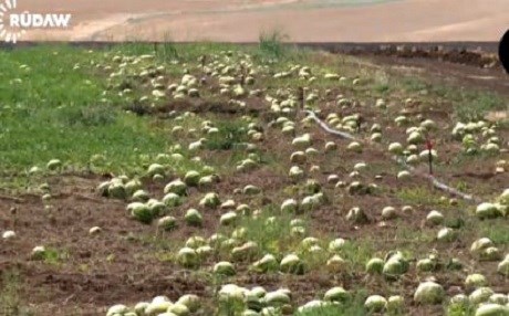 Îsal zebeşên Amedê mane erdê!