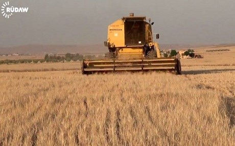 Hikûmeta Sûriyeyê pereyên cotkarên Rojava pêşkêş dike