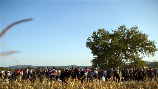 Avrupa'dan kaçak göçmen dramı manzaraları