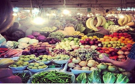 Kürdistan meyve cenneti