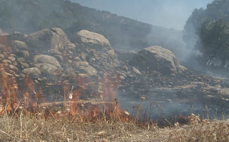 هەولێر.. کەميی کارمەندو بنکەی ئاگرکوژێنەوە کێشەی بۆ تیمەکانی بەرگری شارستانی دروستکردووە
