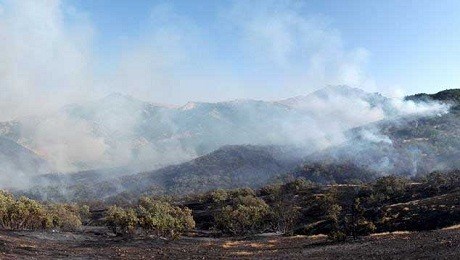 DÊRSÎM – Fermandarekê tirk hat kuştin