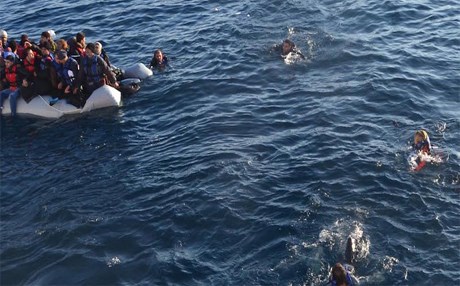 Bir bot faciası daha!