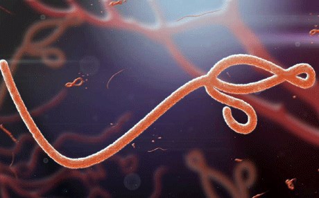 ڤایرۆسی ئیبۆلا 9 مانگ له‌ تۆواوی پیاواندا ده‌مێنێته‌وه‌!