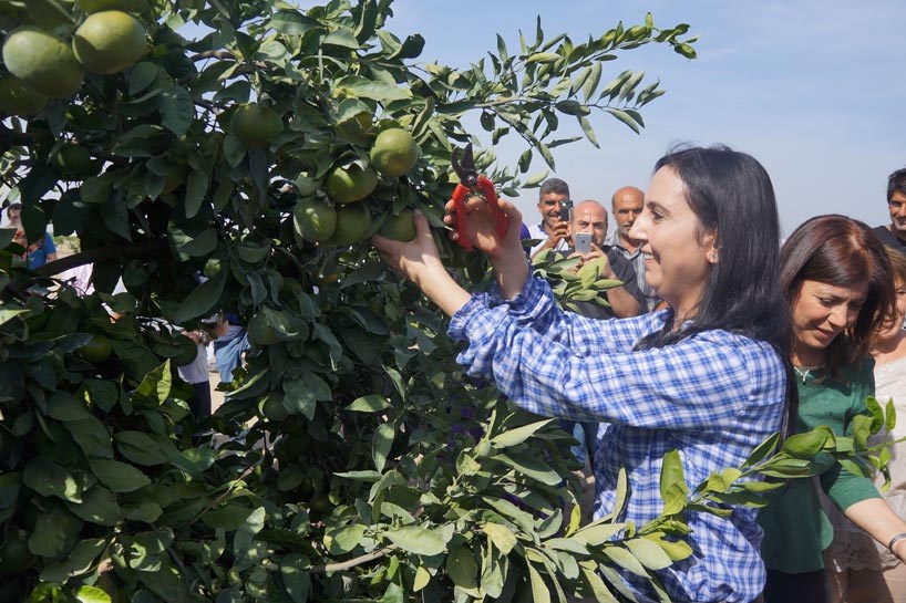 Hevseroka HDPê Yuksekdag bi karkeran re îsot berhev kir