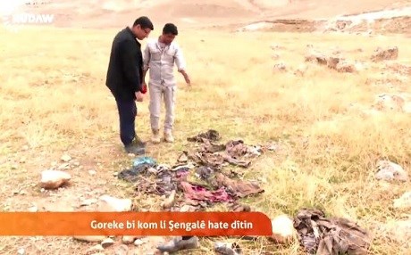 Şingal- Zilam li vir kuştin û jin û zarok bi xwe re birin