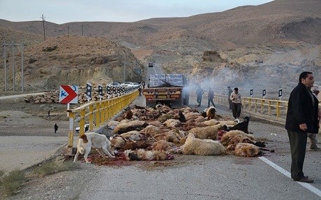 Rojhilat – Kamyonê li keriyê pez da: Bi dehan mî hatin kuştin