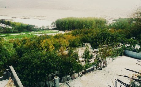 Erbil’de yılın ilk karı