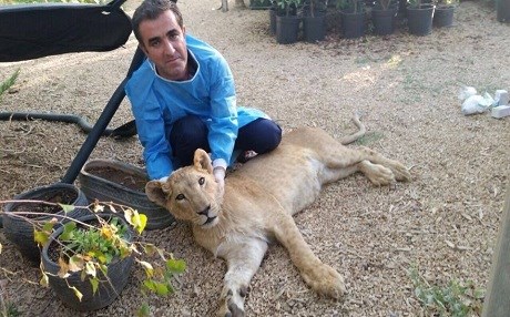 Kürdistan’da tam teşekküllü veteriner kliniği