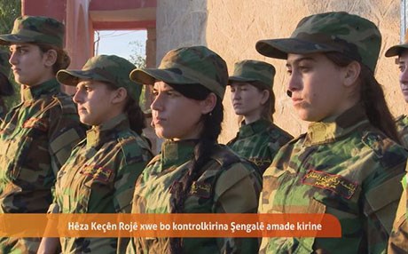 كچانی رۆژ ئامادەن بەشداری شەڕی شنگال بكەن