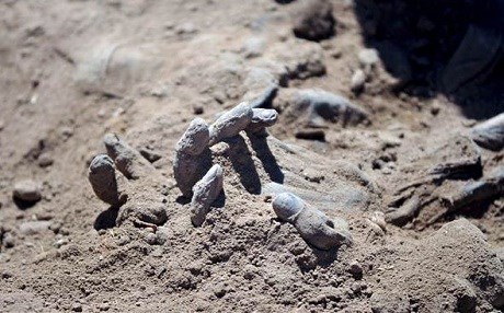 Dadgeha Laheyê lêkolîn li ser komkujiya kurdên êzîdî rawestand