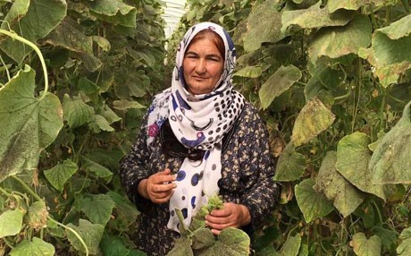 Göçzede kadınlara seracılık eğitimi