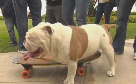 یاریزانێکی باسکە ناوی چووە کتێبی گینسەوە