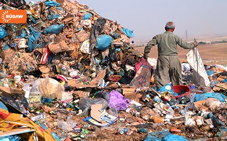 Jîngeha Kurdistanê: Rojane 6 hezar ton gilêş li Kurdistanê kom dibe