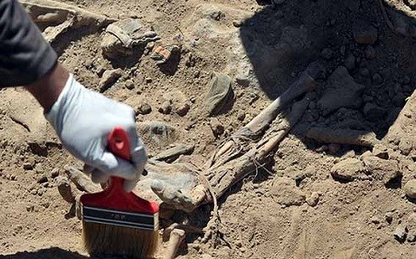 Yazda: Belgeyên jenosîda kurdên êzîdî kêm in!