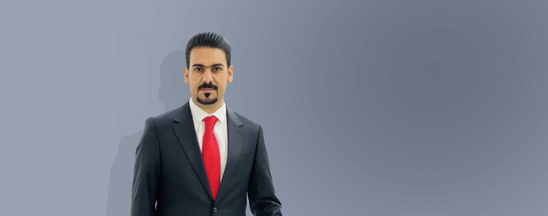 هەردی محەممەد عەلی