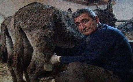 KARSAZEKÎ TIRK: Ker bi destê me nakeve!