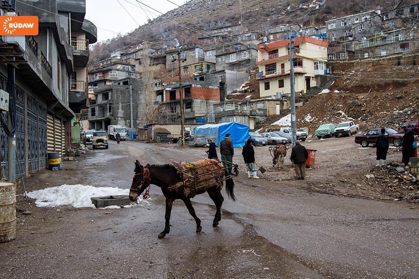 FOTO – Hawraman’ın çöpçüleri: Eşekler